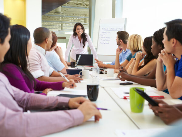 Management transversal
