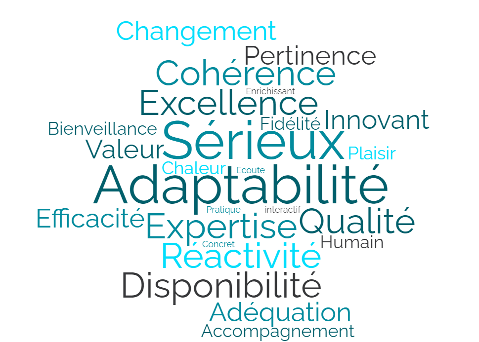 nuage de mots